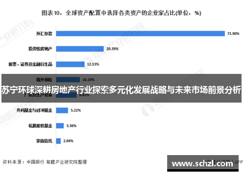 苏宁环球深耕房地产行业探索多元化发展战略与未来市场前景分析