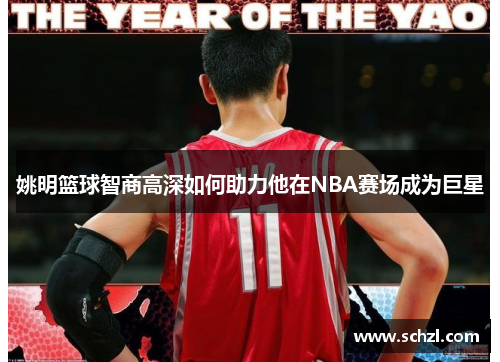 姚明篮球智商高深如何助力他在NBA赛场成为巨星