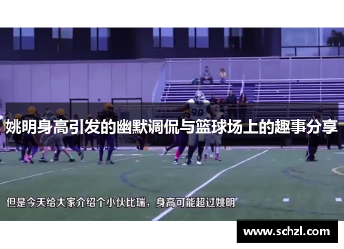 姚明身高引发的幽默调侃与篮球场上的趣事分享