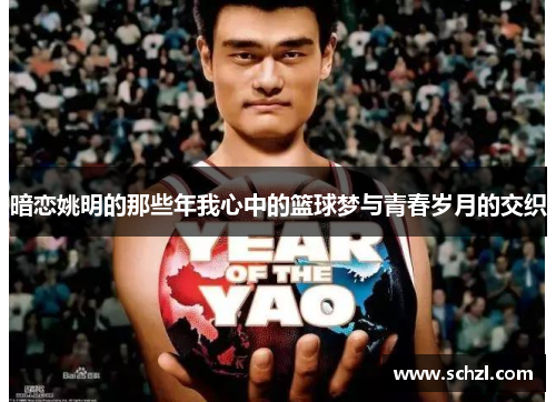 暗恋姚明的那些年我心中的篮球梦与青春岁月的交织