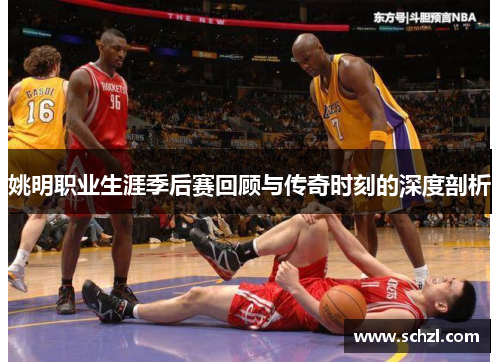 姚明职业生涯季后赛回顾与传奇时刻的深度剖析